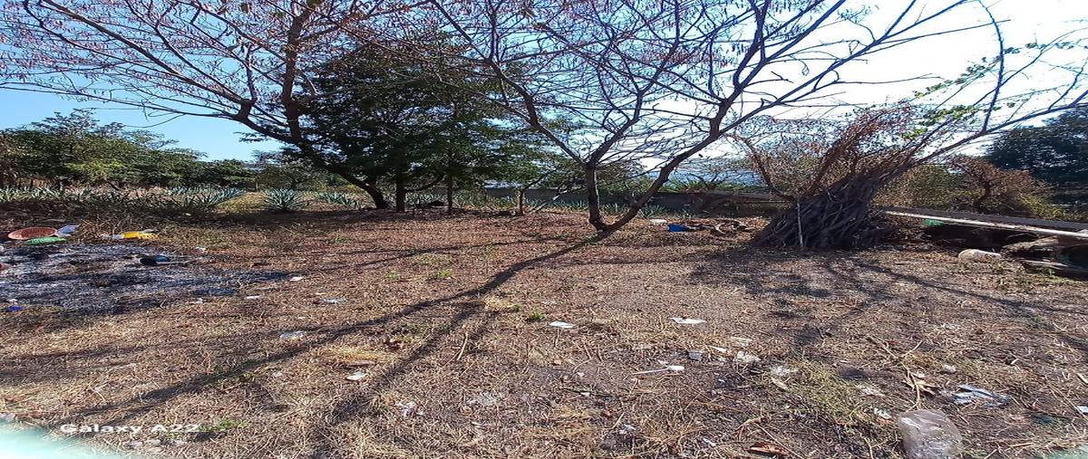 Foto de terreno habitacional en , cocoyotla, coatlán del río, morelos, 30985578 foto 02 Foto de terreno habitacional en venta en , cocoyotla, coatlán del río, morelos, 30985578 No. 02