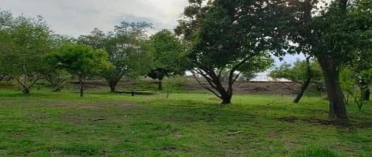Foto de terreno habitacional en , cocula centro, cocula, jalisco, 0 foto 02 Foto de terreno habitacional en venta en , cocula centro, cocula, jalisco, 0 No. 02