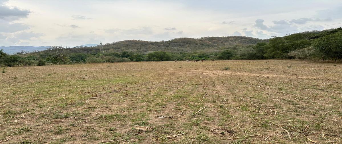 Foto de terreno habitacional en venta en  , cofradía de suchitlán, comala, colima, 30131871 No. 03