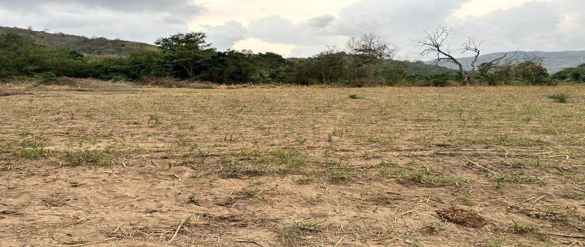 Foto de terreno habitacional en venta en  , cofradía de suchitlán, comala, colima, 30131871 No. 04