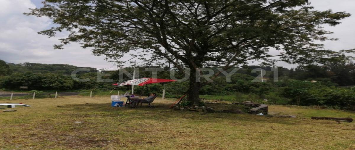 Foto de terreno habitacional en renta en  , cofradía de suchitlán, comala, colima, 0 No. 03
