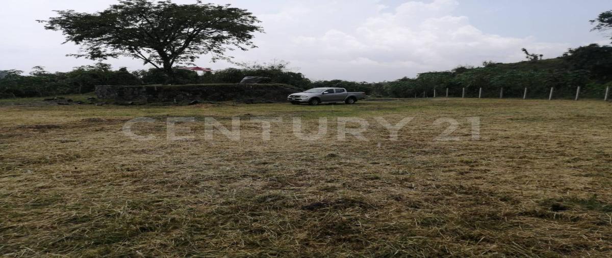 Foto de terreno habitacional en renta en  , cofradía de suchitlán, comala, colima, 0 No. 04