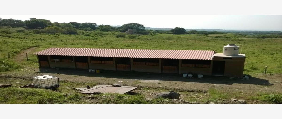 Foto de rancho en venta en  , cofradía de suchitlán, comala, colima, 4389195 No. 01