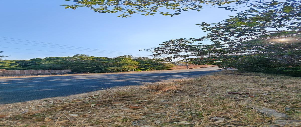 Foto de rancho en venta en cofradia de suchitlan-el coloma , cofradía de suchitlán, comala, colima, 28164243 No. 05