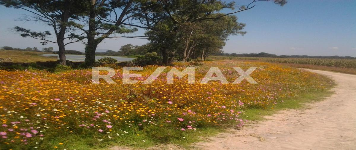 Foto de terreno industrial en venta en cofradía , llano largo, amealco de bonfil, querétaro, 0 No. 03