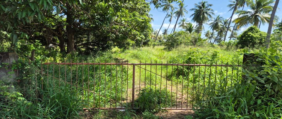 Foto de terreno habitacional en renta en  , cofradía morelos, tecomán, colima, 0 No. 03