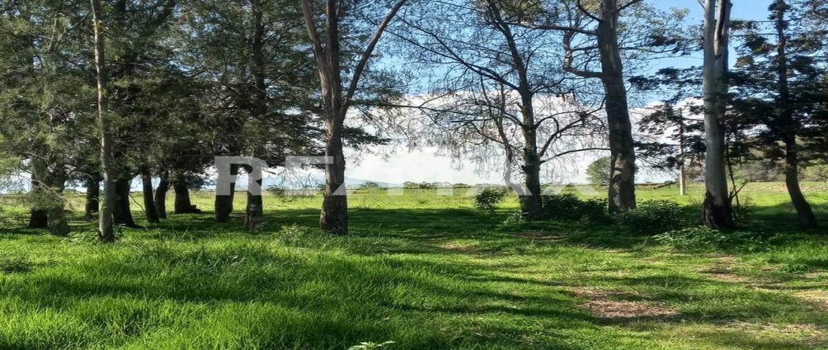 Foto de terreno industrial en venta en cofradia s n, llano largo, amealco de bonfil, querétaro, 0 No. 05