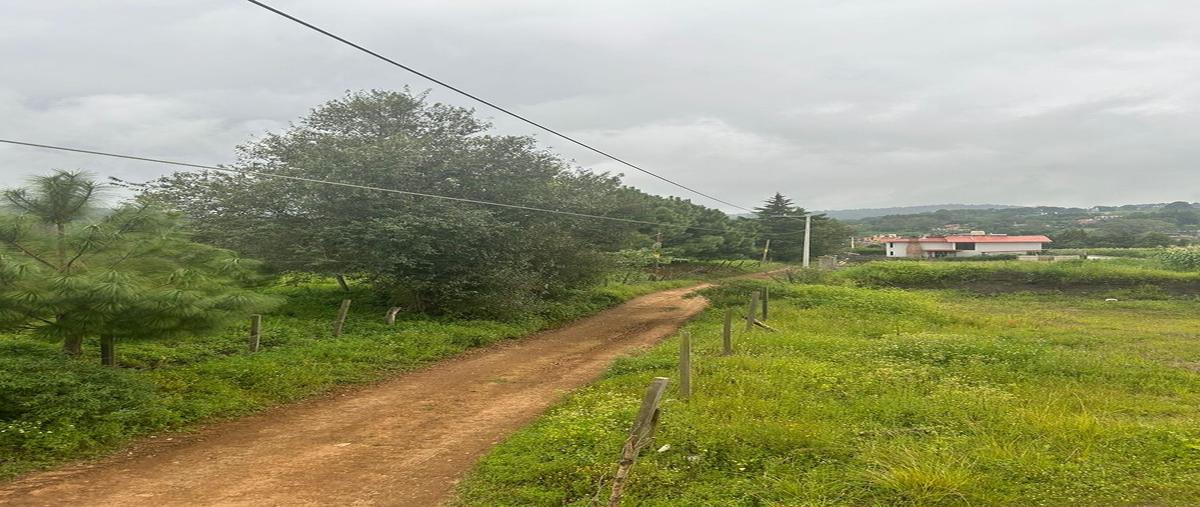 Foto de terreno habitacional en venta en cofradia y jahuiques , mazamitla, mazamitla, jalisco, 0 No. 03