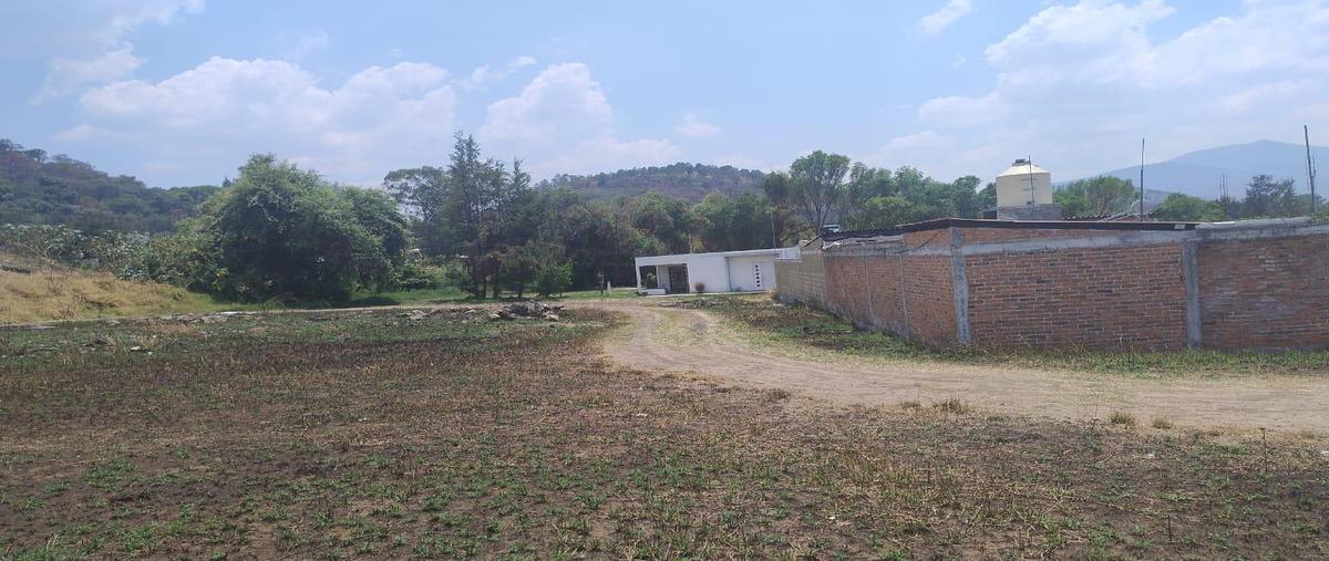 Foto de terreno habitacional en , coíntzio, morelia, michoacán de ocampo, 0 foto 03 Foto de terreno habitacional en venta en , coíntzio, morelia, michoacán de ocampo, 0 No. 03