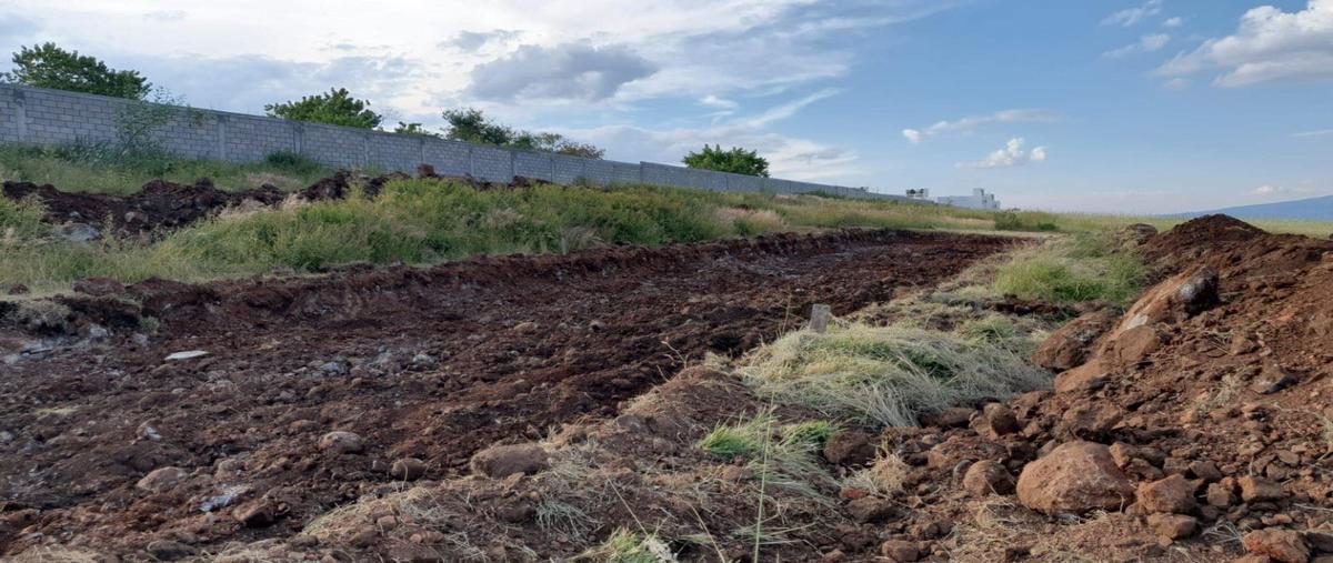 Foto de terreno habitacional en venta en  , coíntzio, morelia, michoacán de ocampo, 0 No. 05