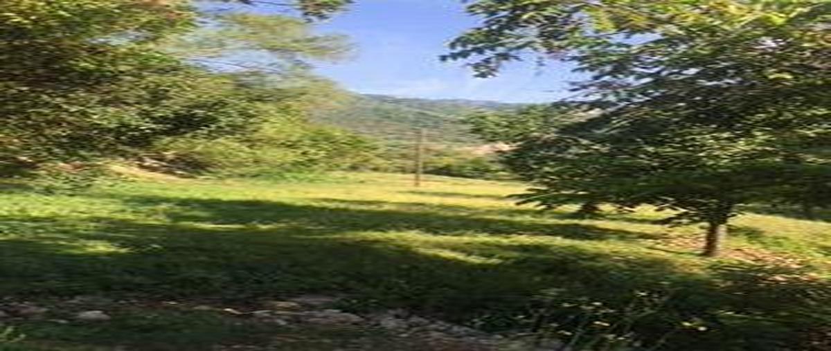 Foto de terreno habitacional en renta en  , cola de caballo, santiago, nuevo león, 30313869 No. 03