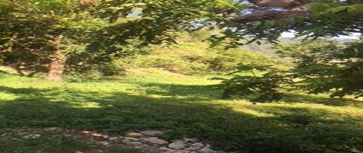 Foto de terreno habitacional en renta en  , cola de caballo, santiago, nuevo león, 30313869 No. 04