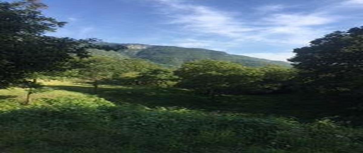 Foto de terreno habitacional en renta en  , cola de caballo, santiago, nuevo león, 30313869 No. 05