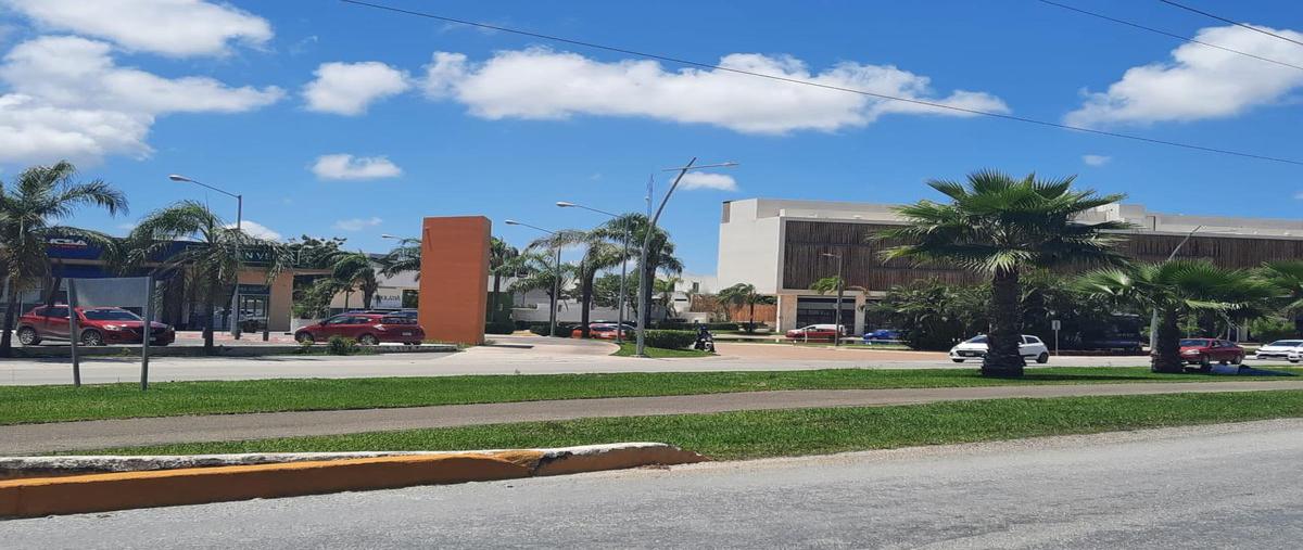 Foto de terreno habitacional en venta en  , colegios, benito juárez, quintana roo, 24054558 No. 03