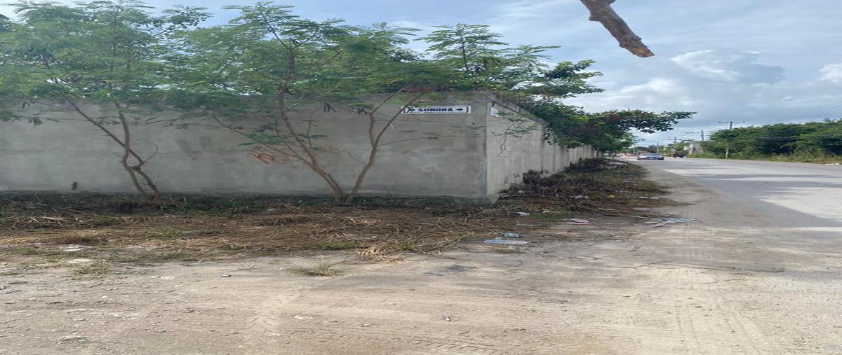 Foto de terreno habitacional en , colegios, benito juárez, quintana roo, 25623936 foto 04 Foto de terreno habitacional en venta en , colegios, benito juárez, quintana roo, 25623936 No. 04