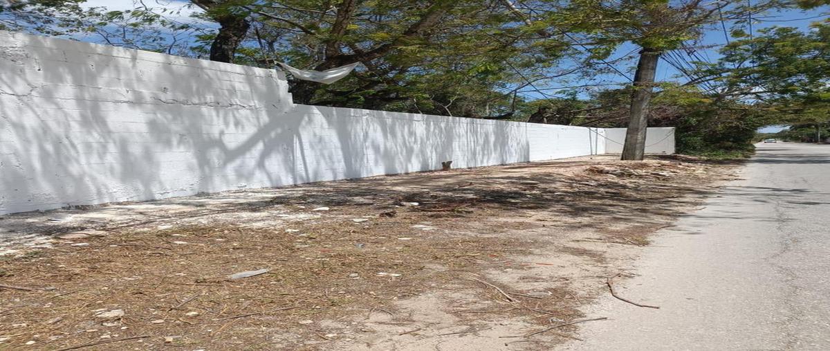 Foto de terreno habitacional en , colegios, benito juárez, quintana roo, 0 foto 01 Foto de terreno habitacional en venta en , colegios, benito juárez, quintana roo, 0 No. 01