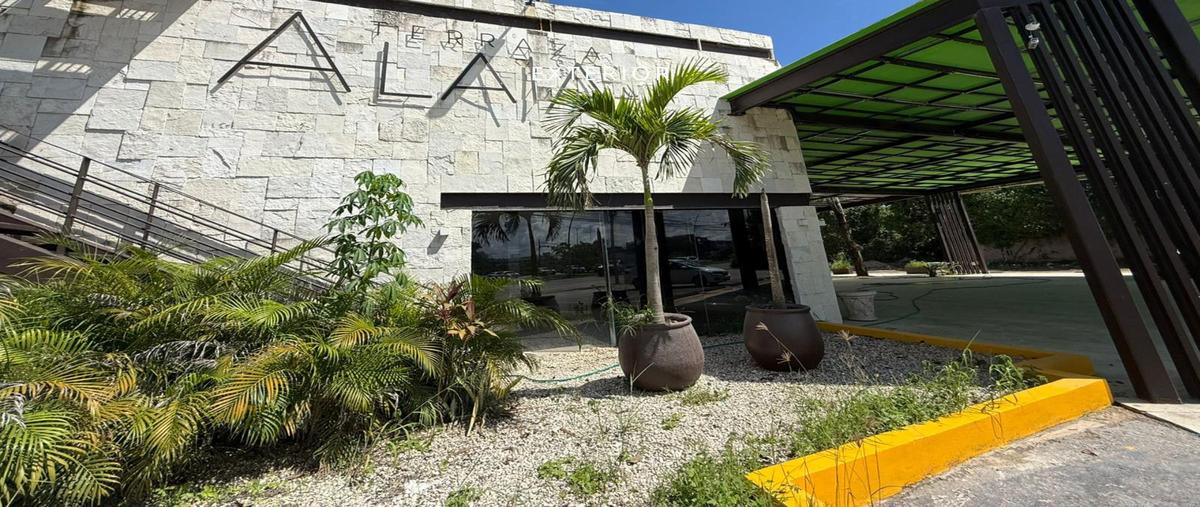 Foto de local en renta en  , colegios, benito juárez, quintana roo, 30466086 No. 03