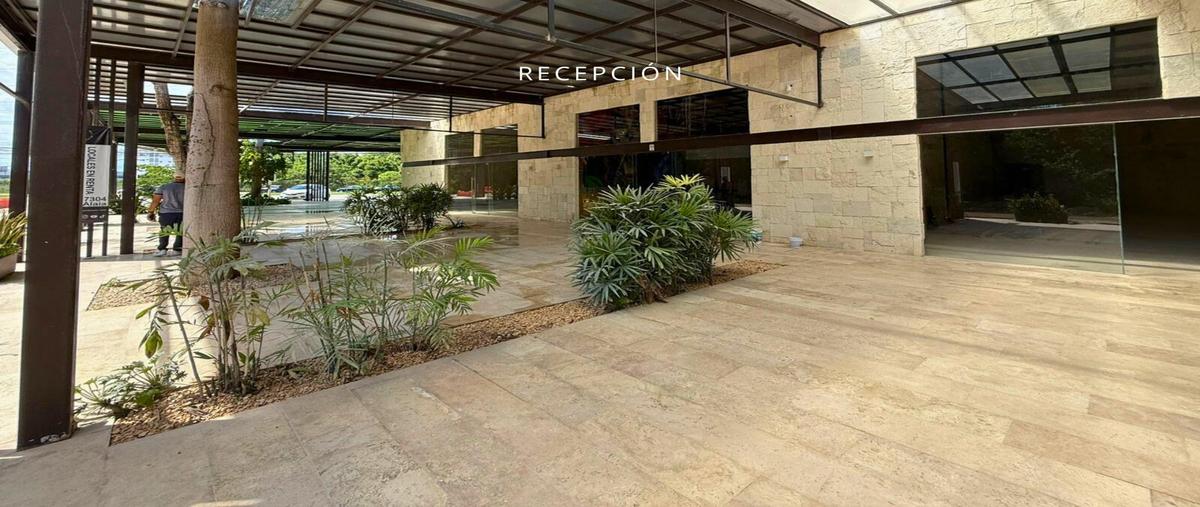 Foto de local en renta en  , colegios, benito juárez, quintana roo, 30466086 No. 05