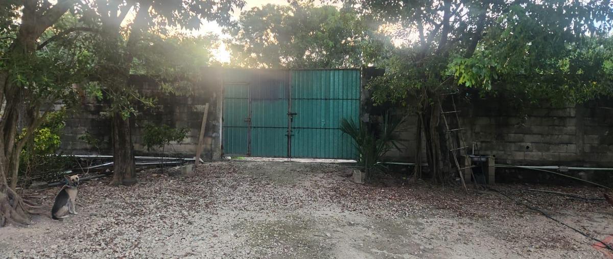 Foto de terreno habitacional en , colegios, benito juárez, quintana roo, 0 foto 03 Foto de terreno habitacional en renta en , colegios, benito juárez, quintana roo, 0 No. 03