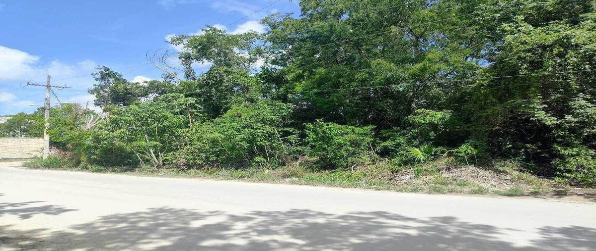 Foto de terreno habitacional en venta en  , colegios, benito juárez, quintana roo, 0 No. 03