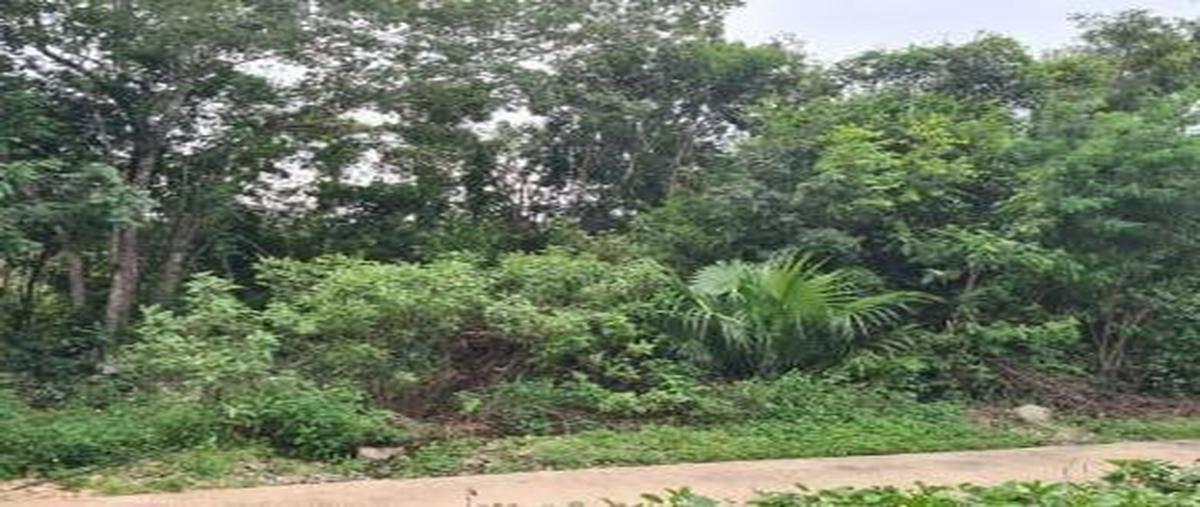 Foto de terreno habitacional en venta en  , colegios, benito juárez, quintana roo, 0 No. 05
