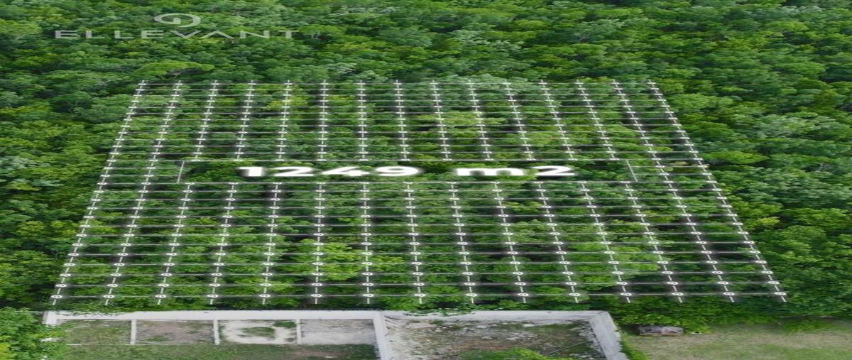 Foto de terreno habitacional en venta en colegios , colegios, benito juárez, quintana roo, 26805500 No. 03