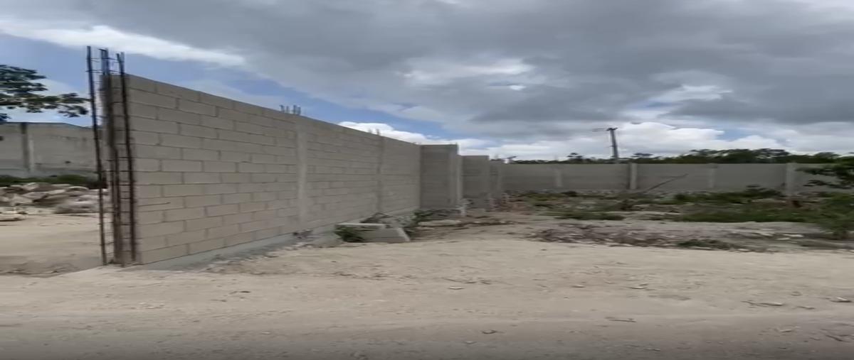 Foto de terreno habitacional en venta en colegios , supermanzana 295, benito juárez, quintana roo, 29393482 No. 03