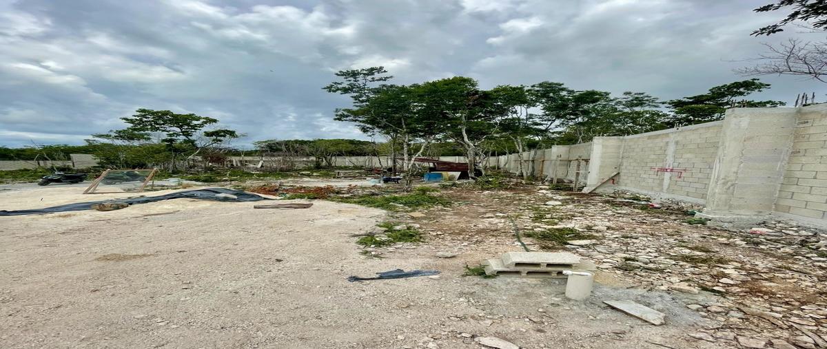 Foto de terreno habitacional en venta en colegios , supermanzana 295, benito juárez, quintana roo, 29393482 No. 04