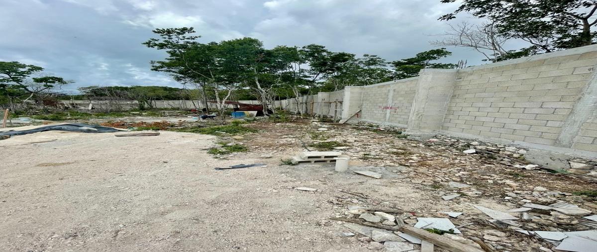 Foto de terreno habitacional en venta en colegios , supermanzana 295, benito juárez, quintana roo, 29393482 No. 05