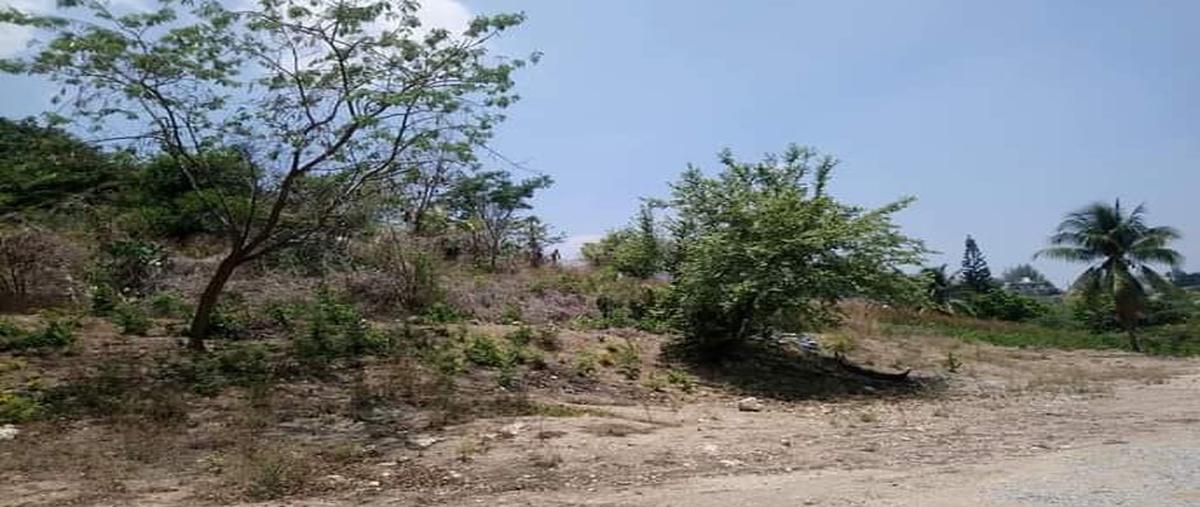 Foto de terreno habitacional en colesquizan whi294966, colesquizan, tuxtla gutiérrez, chiapas, 0 foto 01 Foto de terreno habitacional en renta en colesquizan whi294966, colesquizan, tuxtla gutiérrez, chiapas, 0 No. 01