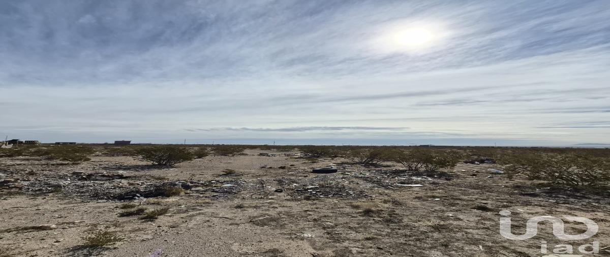 Foto de terreno habitacional en venta en coliflores 134, plazuela de acuña, juárez, chihuahua, 0 No. 05