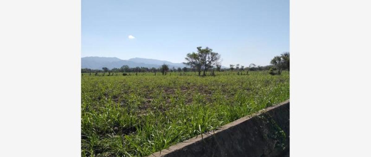 Foto de terreno comercial en venta en  , colima centro, colima, colima, 0 No. 01