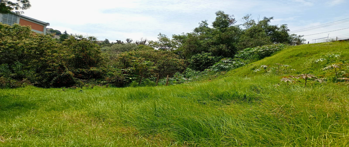 Foto de terreno habitacional en renta en colina , ampliación las aguilas, álvaro obregón, df / cdmx, 0 No. 03