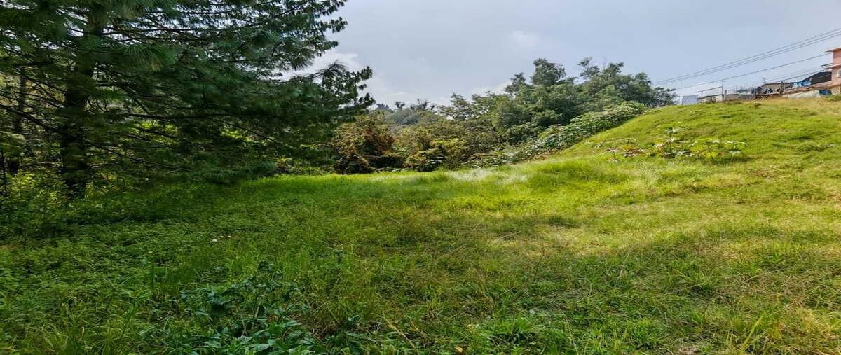 Foto de terreno habitacional en renta en colina , ampliación las aguilas, álvaro obregón, df / cdmx, 0 No. 05