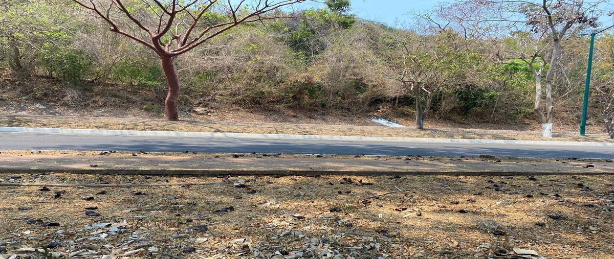 Foto de terreno habitacional en venta en colina de las palomas , club de golf, zihuatanejo de azueta, guerrero, 26664456 No. 03