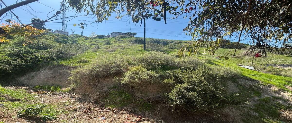 Foto de terreno habitacional en colina del silencio , colinas de agua caliente, tijuana, baja california, 29832249 foto 04 Foto de terreno habitacional en venta en colina del silencio , colinas de agua caliente, tijuana, baja california, 29832249 No. 04