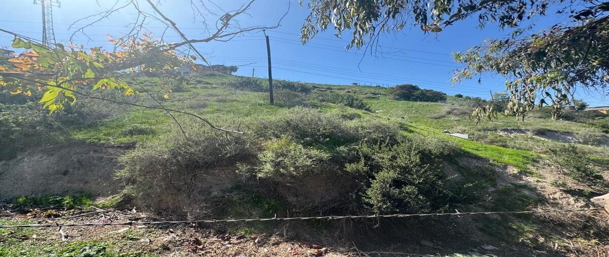 Foto de terreno habitacional en colina del silencio , colinas de agua caliente, tijuana, baja california, 29832249 foto 05 Foto de terreno habitacional en venta en colina del silencio , colinas de agua caliente, tijuana, baja california, 29832249 No. 05