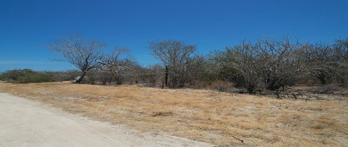 Foto de terreno habitacional en venta en colina del sol , cardonal, la paz, baja california sur, 0 No. 03