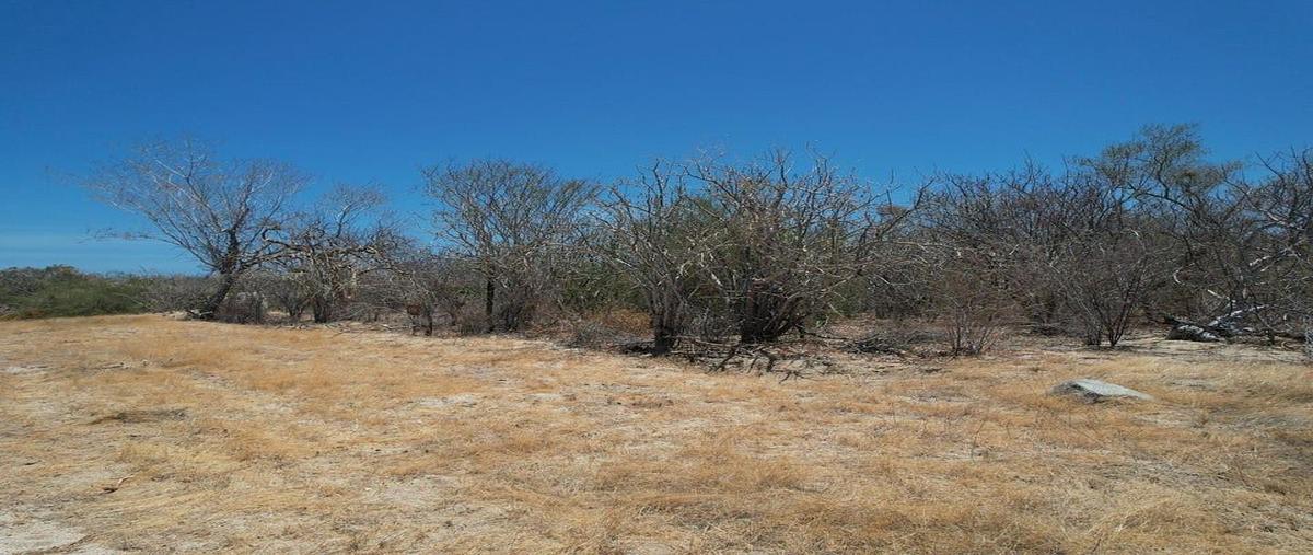 Foto de terreno habitacional en venta en colina del sol , cardonal, la paz, baja california sur, 0 No. 04