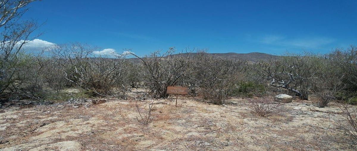 Foto de terreno habitacional en venta en colina del sol lote , cardonal, la paz, baja california sur, 0 No. 04
