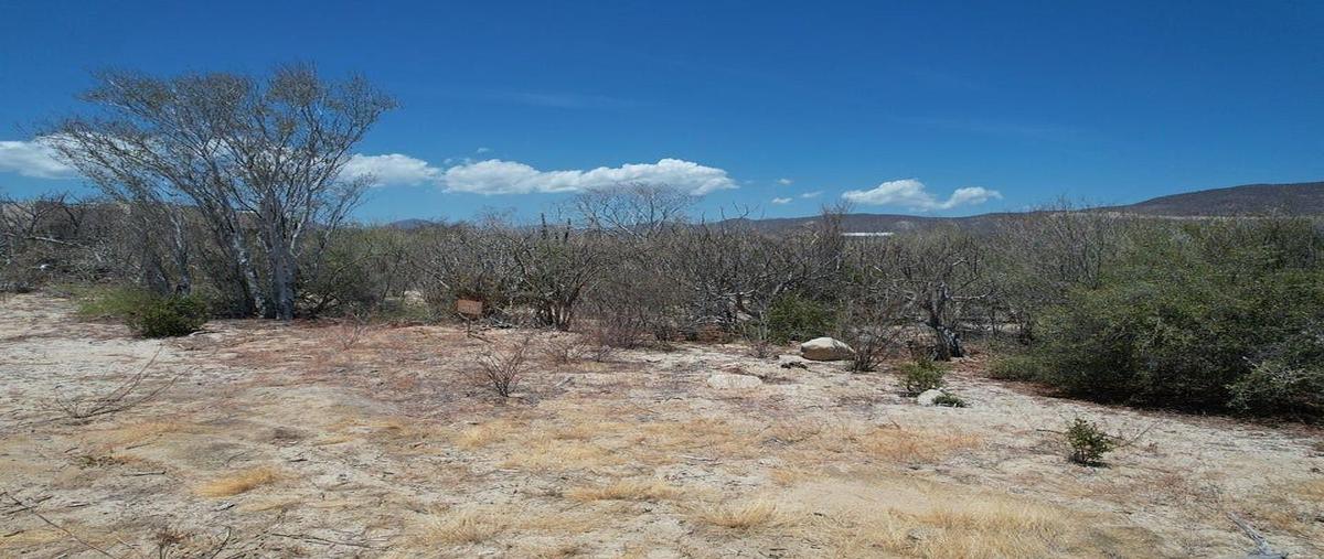 Foto de terreno habitacional en venta en colina del sol lote , cardonal, la paz, baja california sur, 0 No. 05