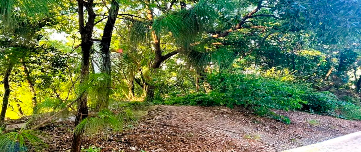 Foto de terreno habitacional en venta en colinas de san angel , colinas de san ángel, san pedro garza garcía, nuevo león, 28647299 No. 03