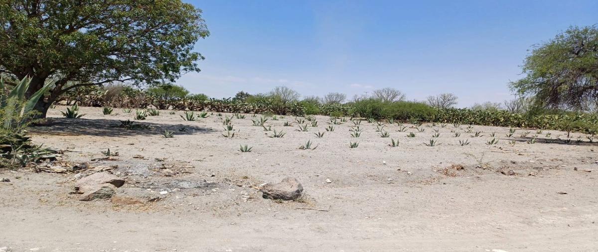 Foto de rancho en venta en  , colinas de santa rosa, querétaro, querétaro, 28016551 No. 04