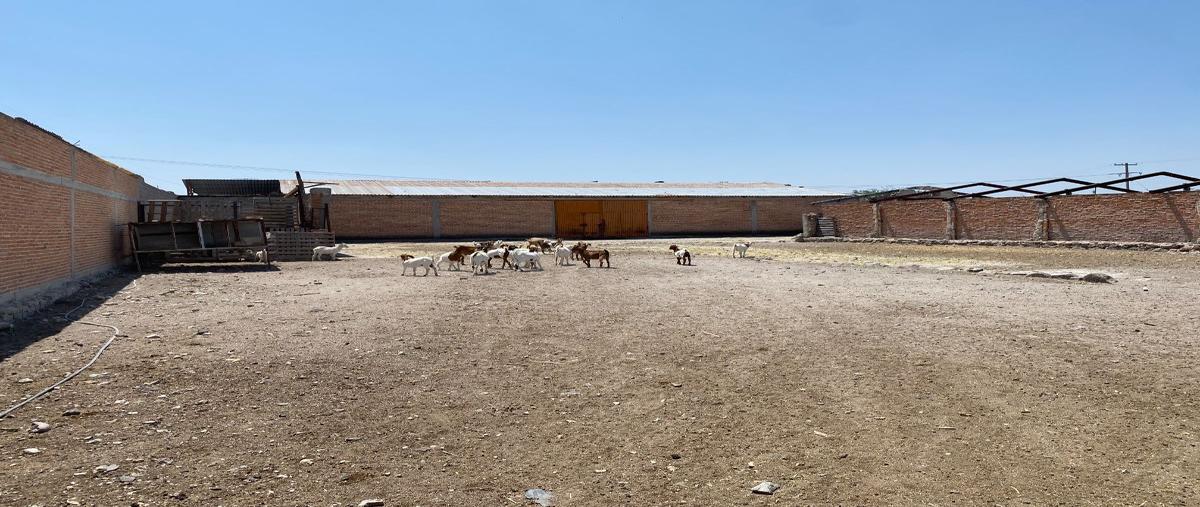 Foto de rancho en venta en  , colinas de santa rosa, querétaro, querétaro, 28016551 No. 05