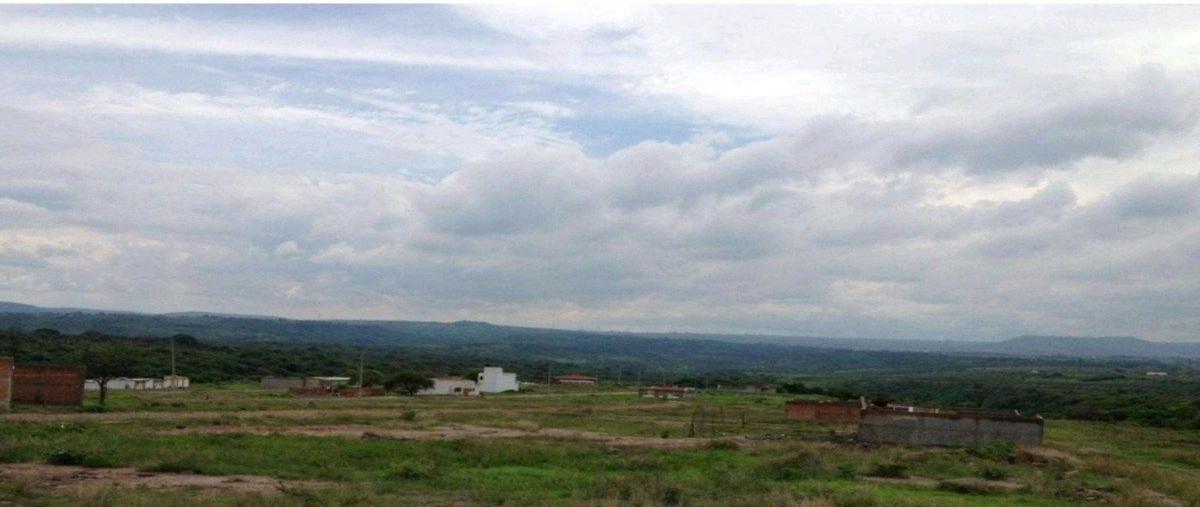 Foto de terreno habitacional en venta en  , colinas de tonalá, tonalá, jalisco, 0 No. 03