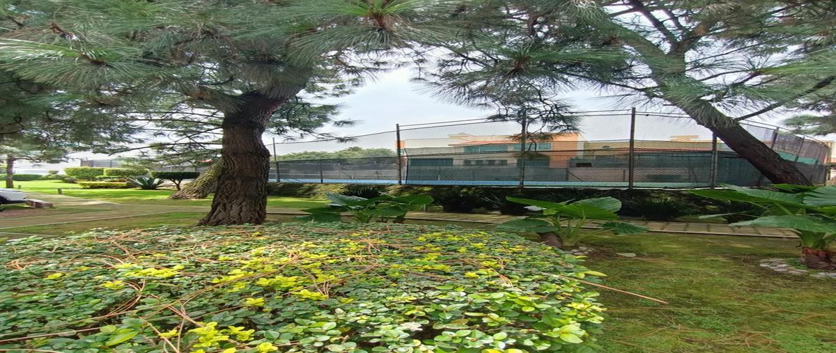 Foto de terreno habitacional en , colinas del bosque, tlalpan, df / cdmx, 30329260 foto 03 Foto de terreno habitacional en venta en , colinas del bosque, tlalpan, df / cdmx, 30329260 No. 03