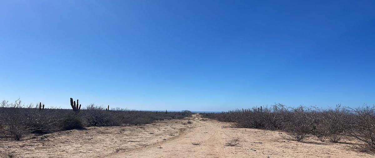 Foto de terreno habitacional en venta en colindante con agua blanca la matanza, la paz , san ignacio, la paz, baja california sur, 29366643 No. 03