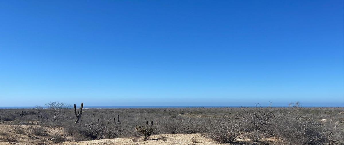 Foto de terreno habitacional en venta en colindante con agua blanca la matanza, la paz , san ignacio, la paz, baja california sur, 29366643 No. 04