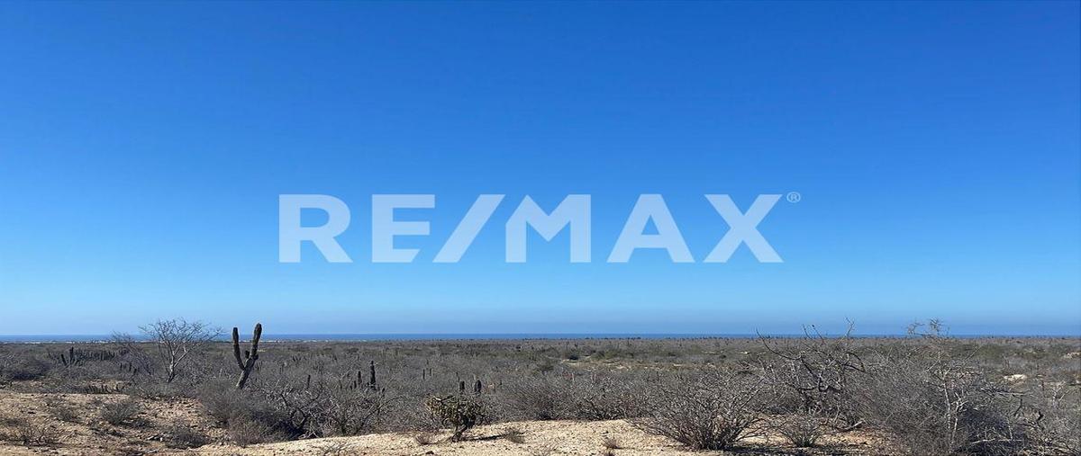 Foto de terreno habitacional en colindante con agua blanca la matanza, la paz , san ignacio, la paz, baja california sur, 0 foto 04 Foto de terreno habitacional en venta en colindante con agua blanca la matanza, la paz , san ignacio, la paz, baja california sur, 0 No. 04