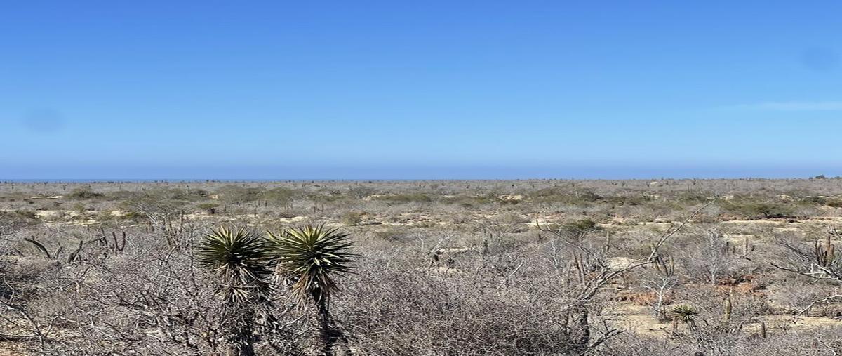 Foto de terreno habitacional en venta en colindante con agua blanca la matanza, la paz , san ignacio, la paz, baja california sur, 29366643 No. 05